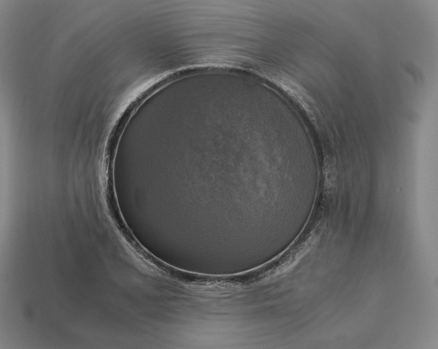 X0000113141077200909181725