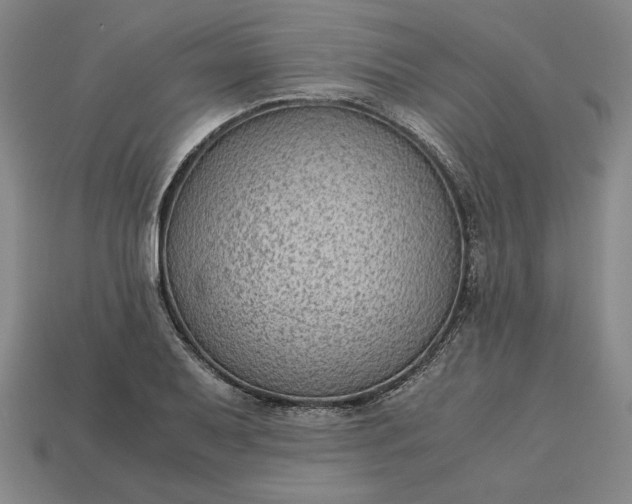 X0000113141079200909181724