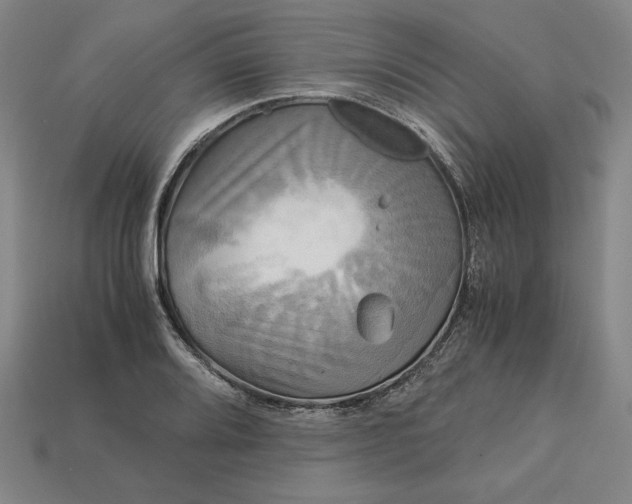 X0000113141080200909181724