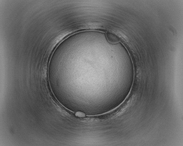 X0000113141081200909181724