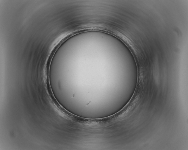 X0000113141082200909181724