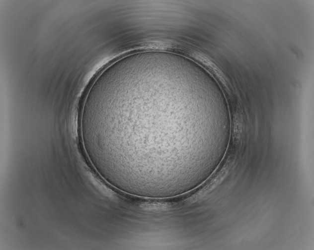 X0000113141083200909181724