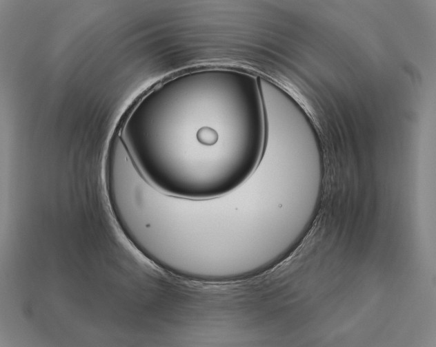 X0000113141084200909181724