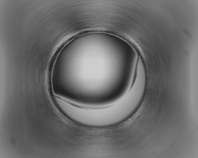 X0000113141085200909181724