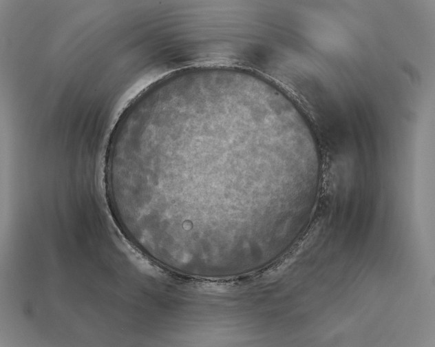 X0000113141086200909181724