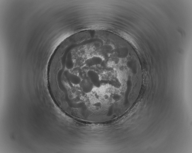 X0000113141087200909181724