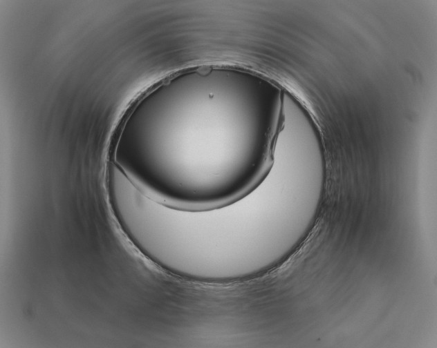 X0000113141088200909181724