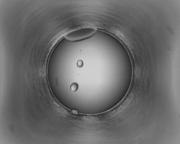 X0000113141089200909181724