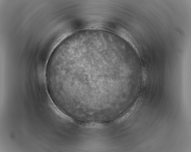 X0000113141090200909181724