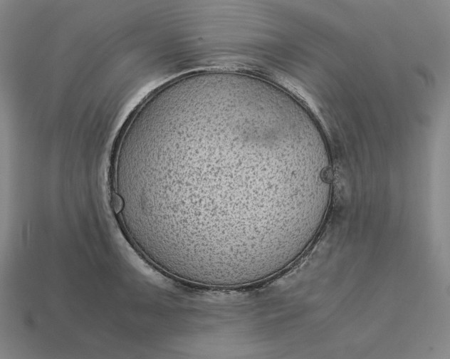 X0000113141091200909181724