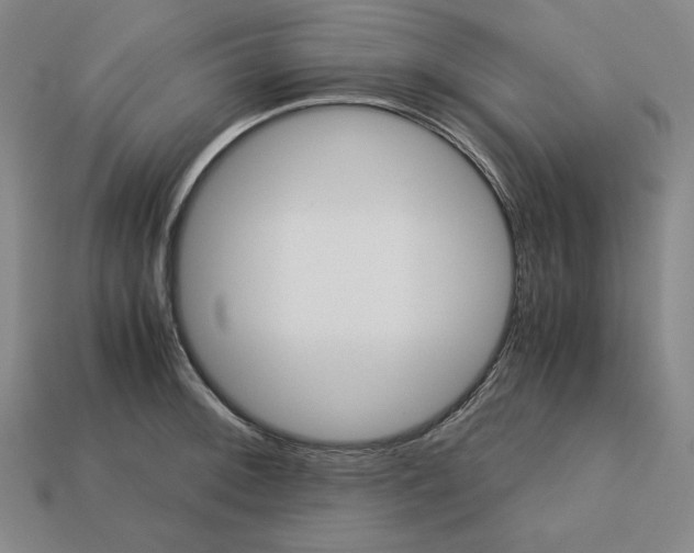 X0000113141092200909181724