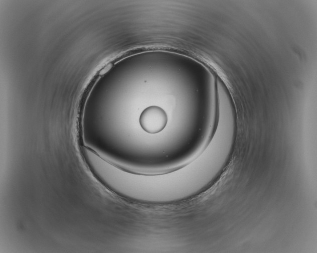 X0000113141093200909181724