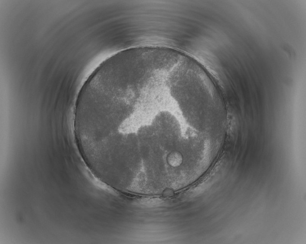 X0000113141094200909181724