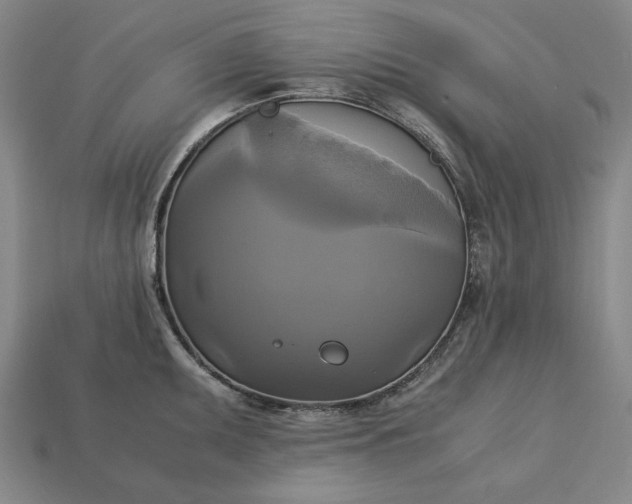 X0000113141095200909181724