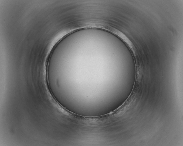 X0000113141096200909181724