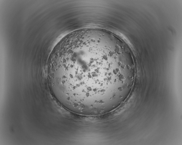 X0000113141097200909181724