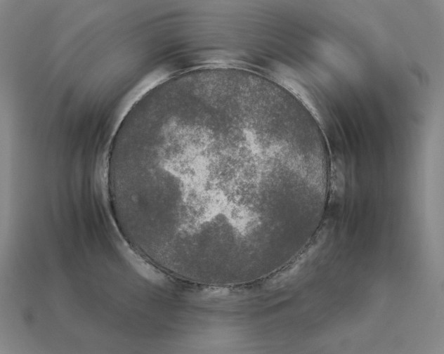 X0000113141098200909181724