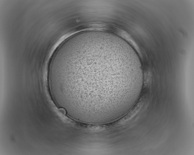 X0000113141099200909181724