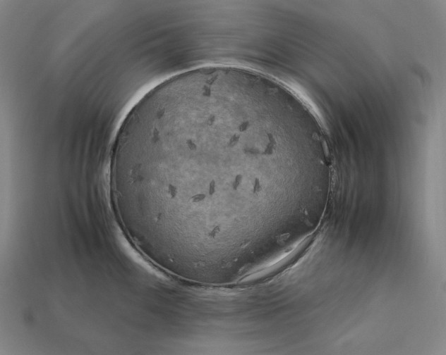 X0000113141100200909181724