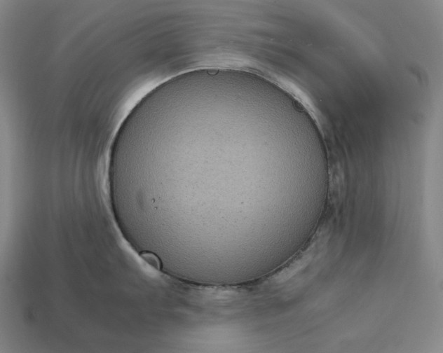 X0000113141103200909181724