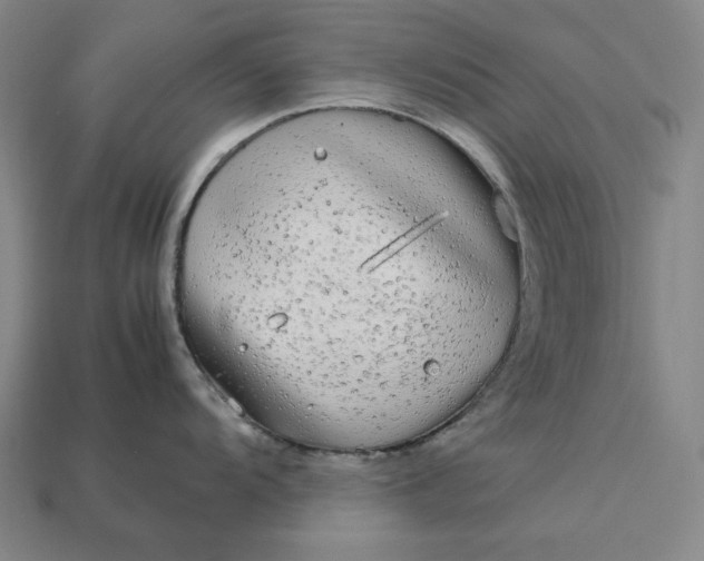 X0000113141104200909181724