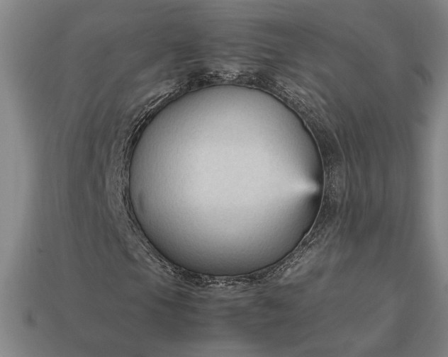 X0000113141105200909181724