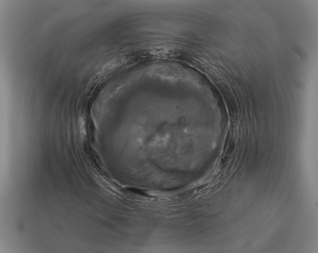 X0000113141106200909181724