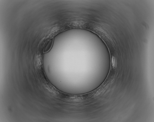 X0000113141107200909181724