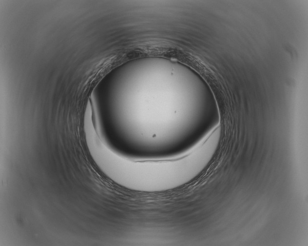 X0000113141108200909181724