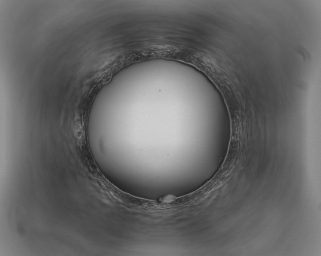 X0000113141109200909181724