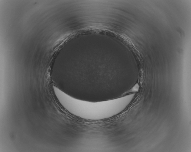 X0000113141110200909181724