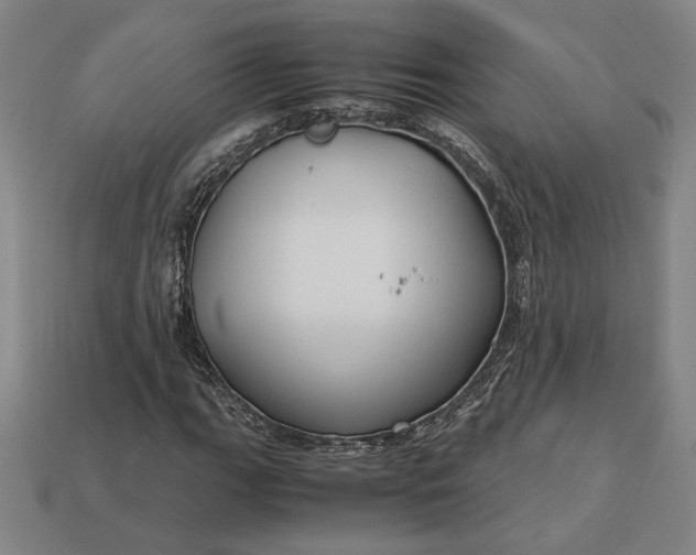 X0000113141111200909181724