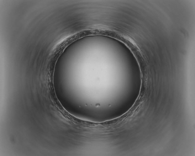 X0000113141112200909181724