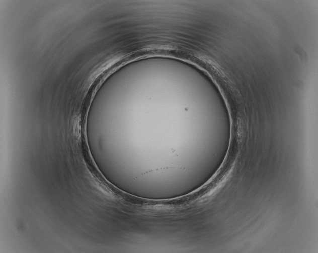 X0000113141113200909181724