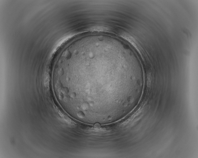 X0000113141115200909181724