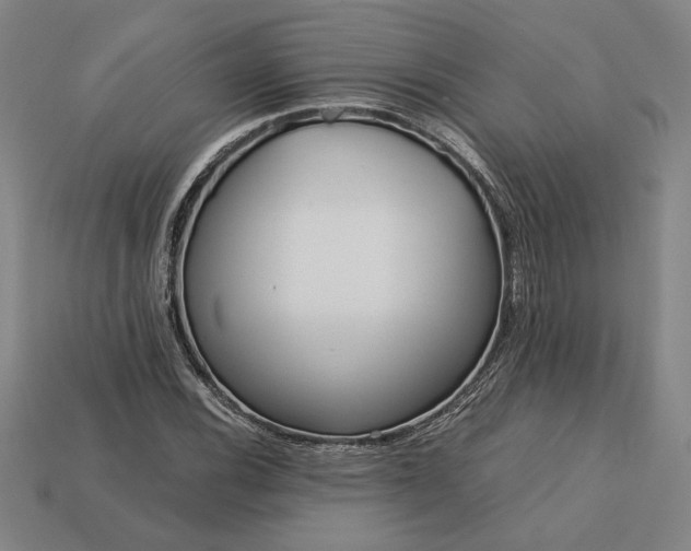 X0000113141116200909181724