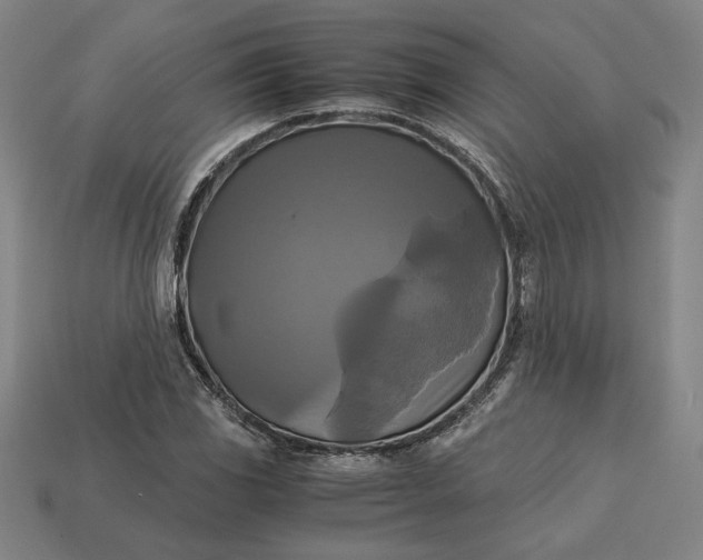 X0000113141117200909181724