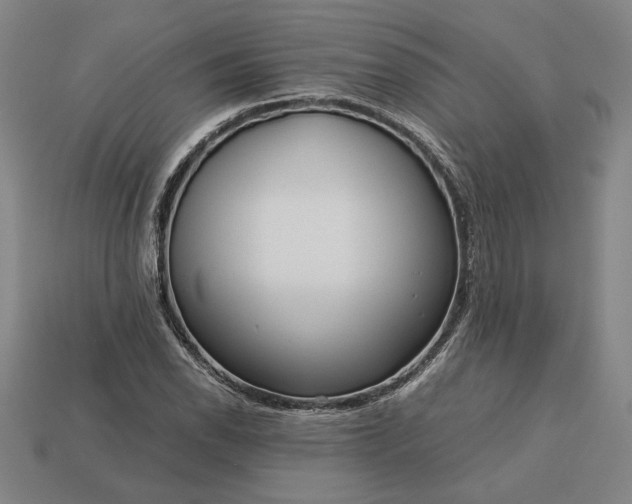 X0000113141118200909181724