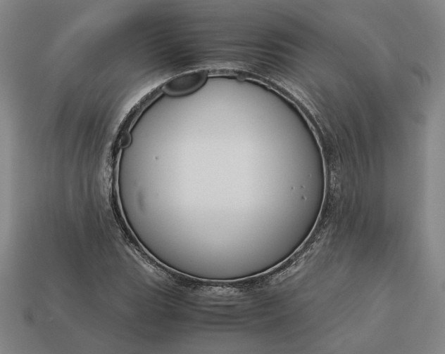 X0000113141119200909181724