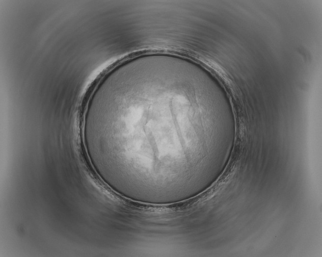 X0000113141120200909181724