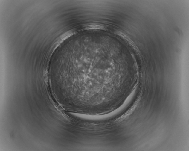 X0000113141121200909181724