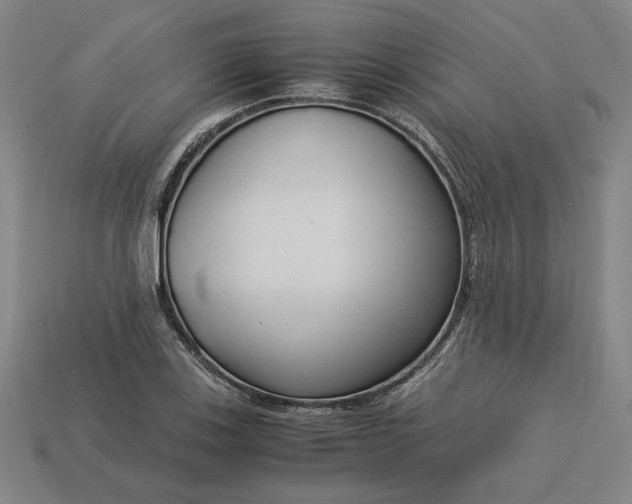 X0000113141123200909181724