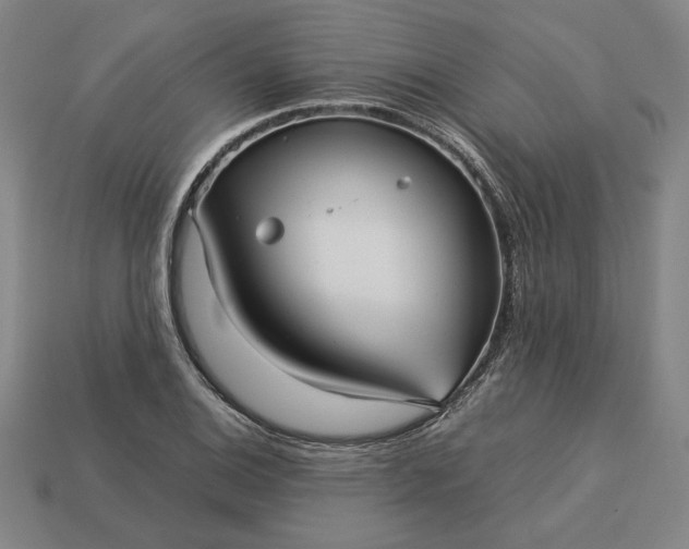 X0000113141124200909181724