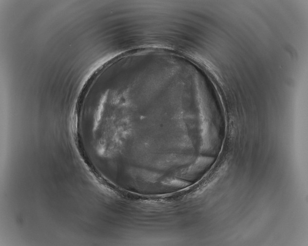 X0000113141125200909181724