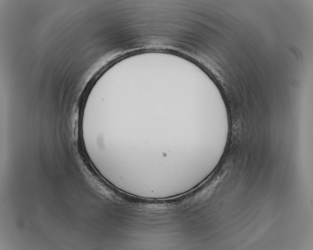 X0000113141126200909181724