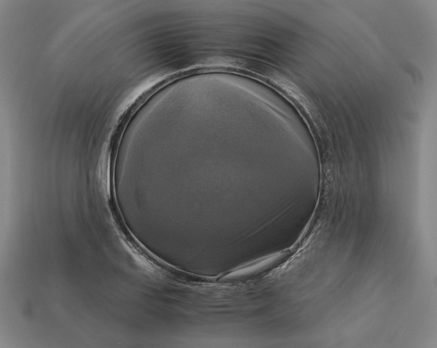 X0000113141127200909181724