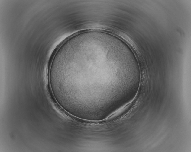 X0000113141128200909181724