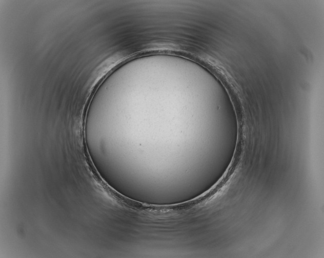 X0000113141129200909181724