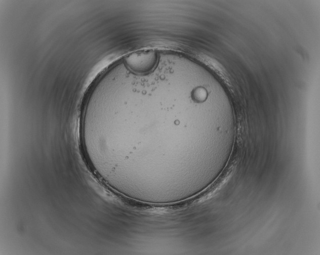 X0000113141130200909181724