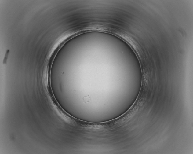 X0000113141131200909181724